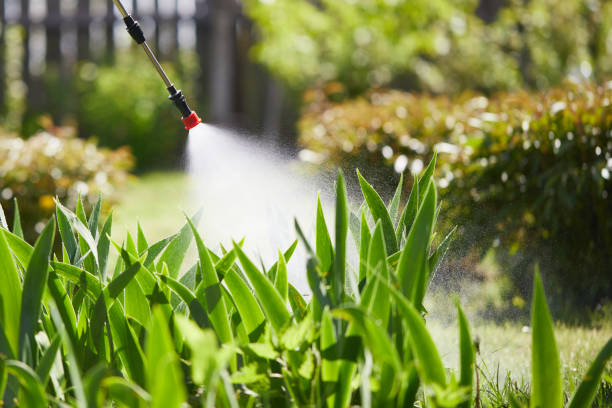 24/7 Emergency Mosquito Control experts in Springerville, AZ