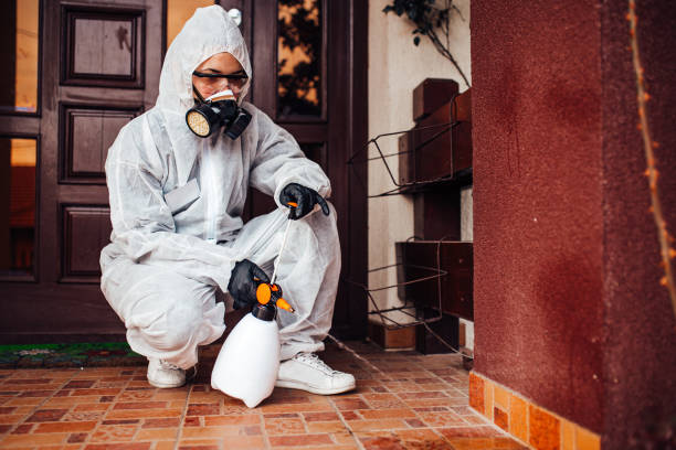 Reliable Mosquito Control contractor in Springerville, AZ by Show Me Pest Control
